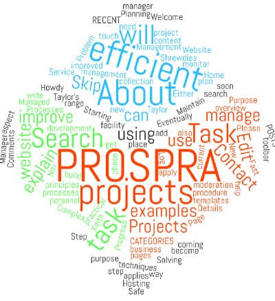About PROSPRA Tasks and Projects